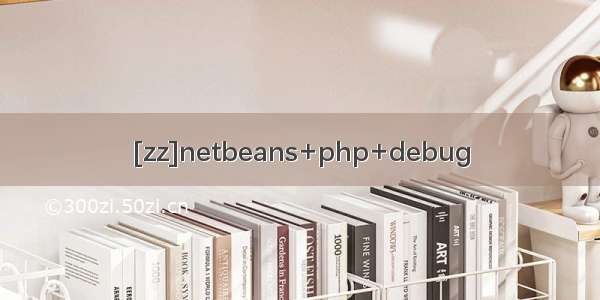 [zz]netbeans+php+debug