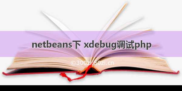 netbeans下 xdebug调试php