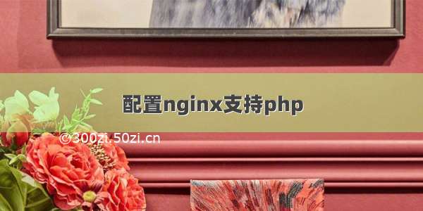 配置nginx支持php