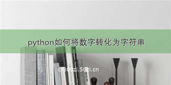 python如何将数字转化为字符串