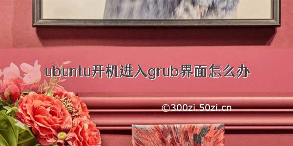 ubuntu开机进入grub界面怎么办