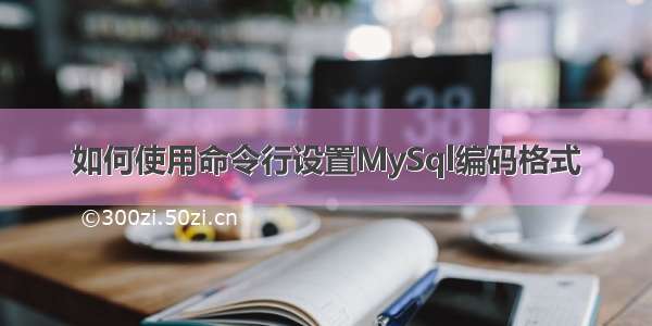 如何使用命令行设置MySql编码格式