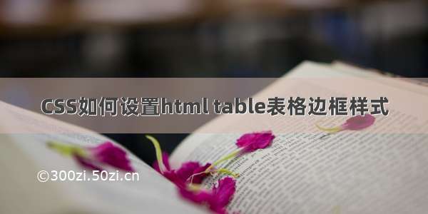 CSS如何设置html table表格边框样式