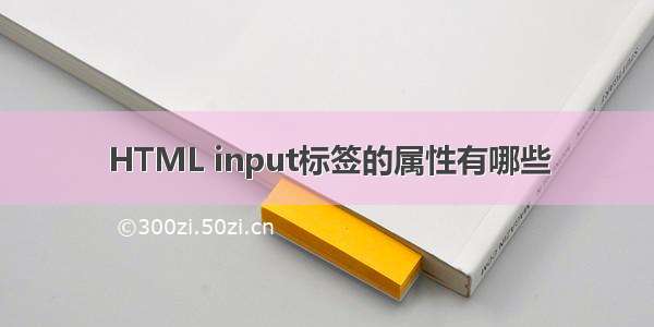 HTML input标签的属性有哪些