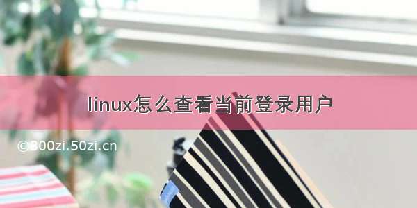 linux怎么查看当前登录用户