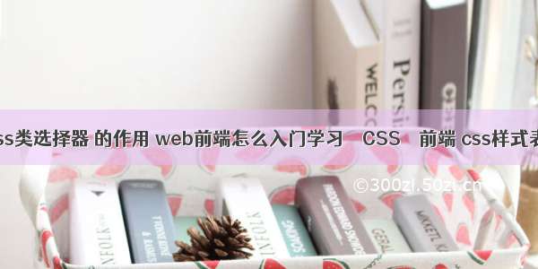 css类选择器 的作用 web前端怎么入门学习 – CSS – 前端 css样式表