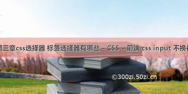 第三章css选择器 标签选择器有哪些 – CSS – 前端 css input 不换行