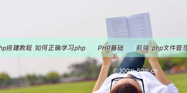 网站php搭建教程 如何正确学习php – PHP基础 – 前端 php文件管理木马