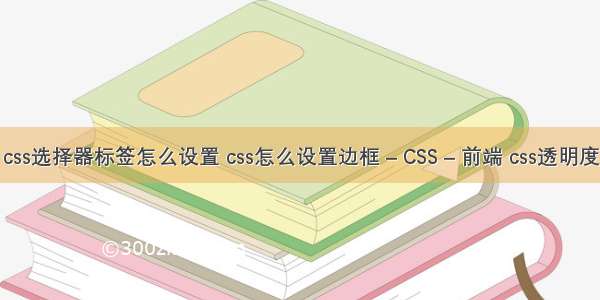 css选择器标签怎么设置 css怎么设置边框 – CSS – 前端 css透明度