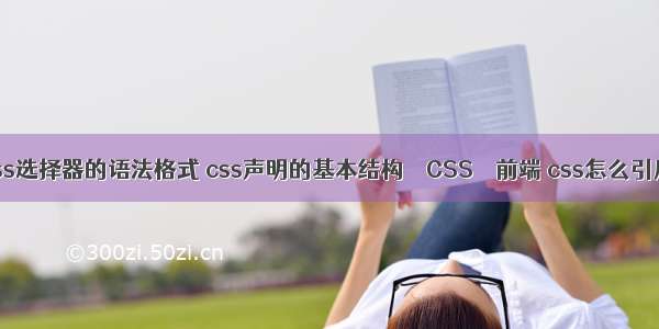 符合css选择器的语法格式 css声明的基本结构 – CSS – 前端 css怎么引用图片