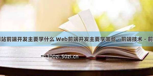 网站前端开发主要学什么 Web前端开发主要学哪些 – 前端技术 – 前端