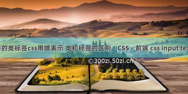 选择器的类标签css用啥表示 类和标签的区别 – CSS – 前端 css input text 颜色