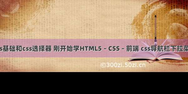 css基础和css选择器 刚开始学HTML5 – CSS – 前端 css导航栏下拉菜单