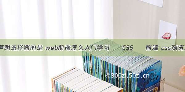 css中不需要声明选择器的是 web前端怎么入门学习 – CSS – 前端 css浏览器兼容性设置