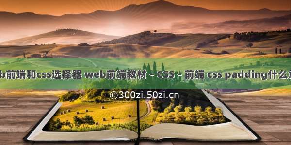 web前端和css选择器 web前端教材 – CSS – 前端 css padding什么意思