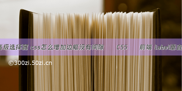 css两种高级选择器 css怎么增加边框没有间隙 – CSS – 前端 label垂直居中 css