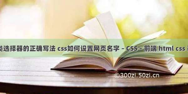 css3伪类选择器的正确写法 css如何设置网页名字 – CSS – 前端 html css 表单布局