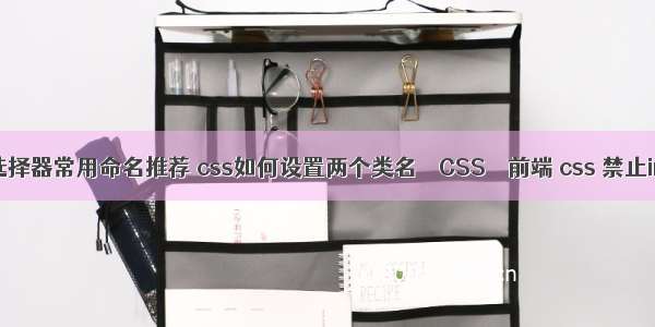 css选择器常用命名推荐 css如何设置两个类名 – CSS – 前端 css 禁止input