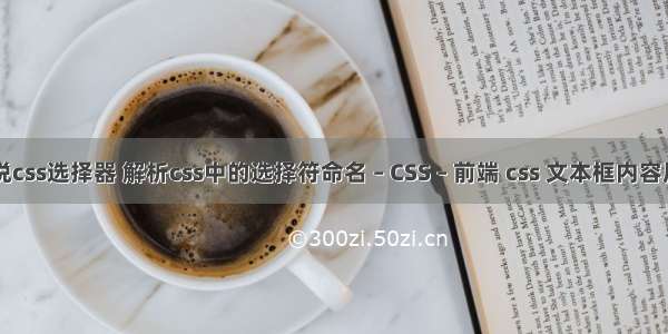 话说css选择器 解析css中的选择符命名 – CSS – 前端 css 文本框内容居中