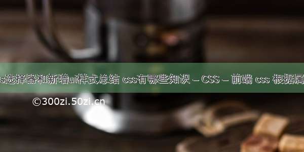 css选择器和新增ui样式总结 css有哪些知识 – CSS – 前端 css 根据属性