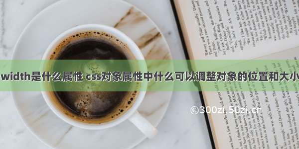 marginwidth是什么属性 css对象属性中什么可以调整对象的位置和大小 – CSS – 