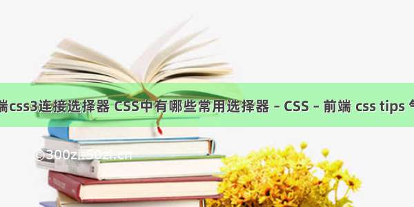 前端css3连接选择器 CSS中有哪些常用选择器 – CSS – 前端 css tips 气泡