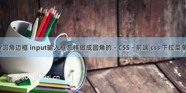 border圆角边框 input输入框怎样做成圆角的 – CSS – 前端 css 下拉菜单被覆盖