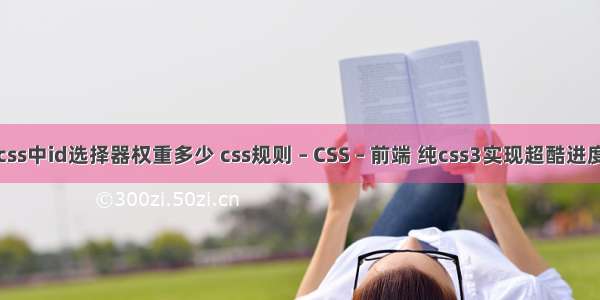 在css中id选择器权重多少 css规则 – CSS – 前端 纯css3实现超酷进度条