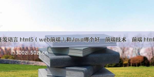 网站的前端开发语言 html5（web前端）和Java哪个好 – 前端技术 – 前端 html 多个table