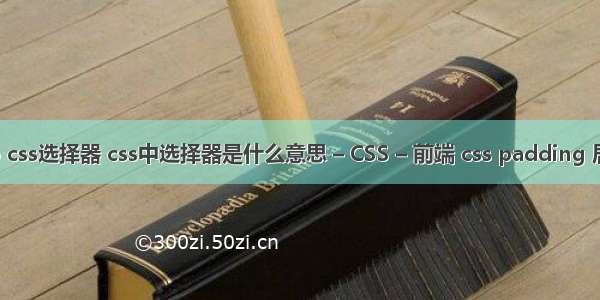 ie6 css选择器 css中选择器是什么意思 – CSS – 前端 css padding 居中