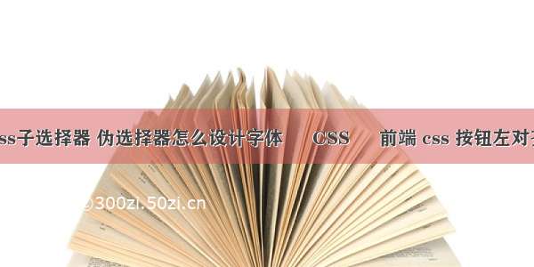 css子选择器 伪选择器怎么设计字体 – CSS – 前端 css 按钮左对齐