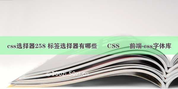 css选择器258 标签选择器有哪些 – CSS – 前端 css字体库