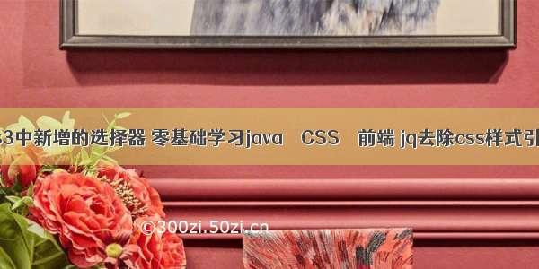 css3中新增的选择器 零基础学习java – CSS – 前端 jq去除css样式引用