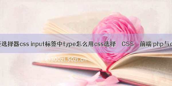 标签选择器css input标签中type怎么用css选择 – CSS – 前端 php与css