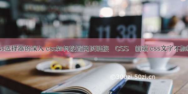 css选择器的深入 css如何设置网页链接 – CSS – 前端 css文字不加粗