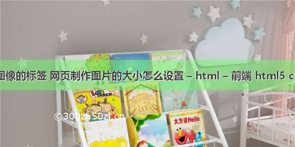 html中插入图像的标签 网页制作图片的大小怎么设置 – html – 前端 html5 canvas 编辑器