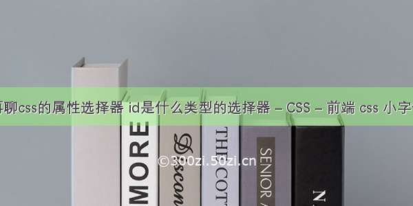 再聊css的属性选择器 id是什么类型的选择器 – CSS – 前端 css 小字体