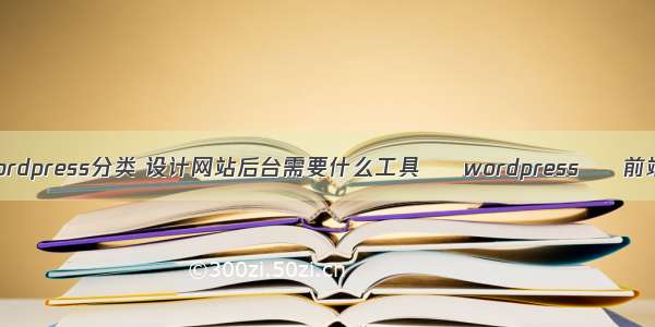 wordpress分类 设计网站后台需要什么工具 – wordpress – 前端