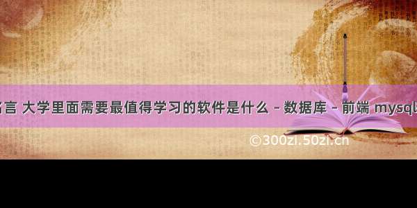 mysql查询名言 大学里面需要最值得学习的软件是什么 – 数据库 – 前端 mysql技术内幕 pdf