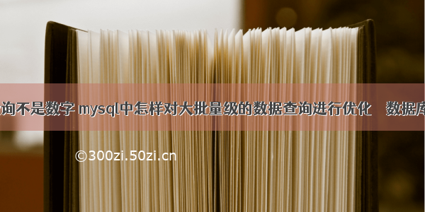 mysql查询不是数字 mysql中怎样对大批量级的数据查询进行优化 – 数据库 – 前端