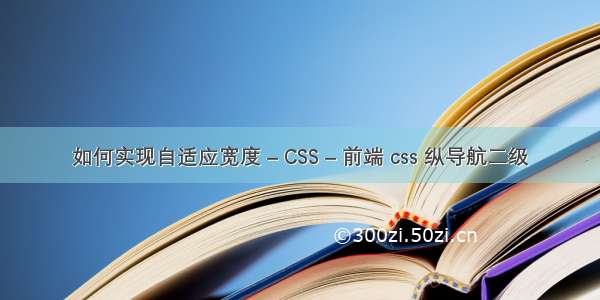 如何实现自适应宽度 – CSS – 前端 css 纵导航二级