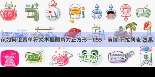 html如何设置单行文本框圆角为正方形 – CSS – 前端 下拉列表 效果 css