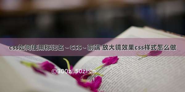 css如何使用标记名 – CSS – 前端 放大镜效果css样式怎么做