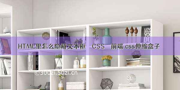 HTML里怎么隐藏文本框 – CSS – 前端 css伸缩盒子