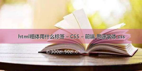 html粗体用什么标签 – CSS – 前端 思源字体 css