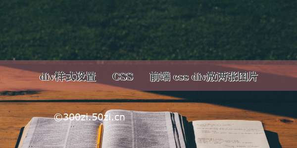 div样式设置 – CSS – 前端 css div放两张图片