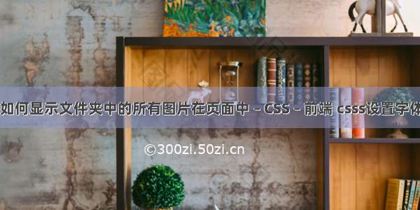 html如何显示文件夹中的所有图片在页面中 – CSS – 前端 csss设置字体 加粗