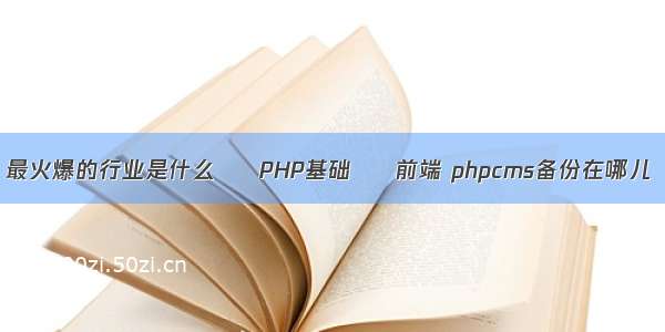 最火爆的行业是什么 – PHP基础 – 前端 phpcms备份在哪儿