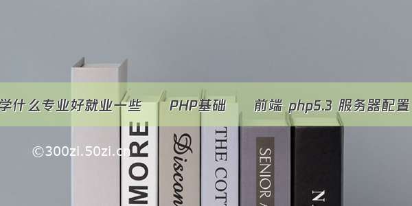 学什么专业好就业一些 – PHP基础 – 前端 php5.3 服务器配置