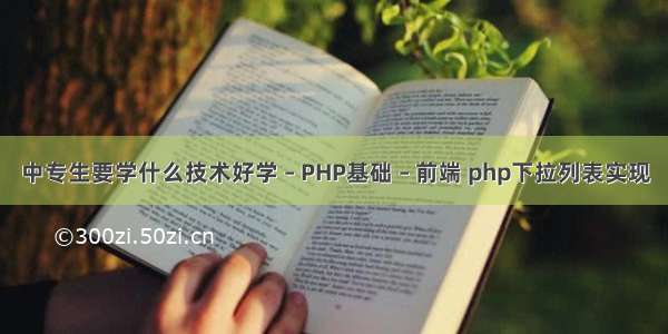 中专生要学什么技术好学 – PHP基础 – 前端 php下拉列表实现